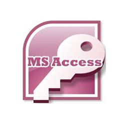 MS Access Developer Tallahassee